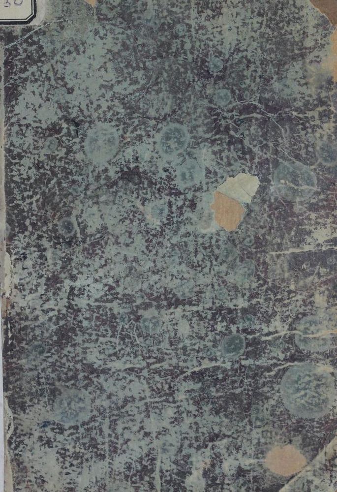 О положении человека в ряду органических существ