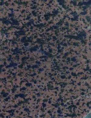 Жизнь и творчество Максима Горького по его рассказам