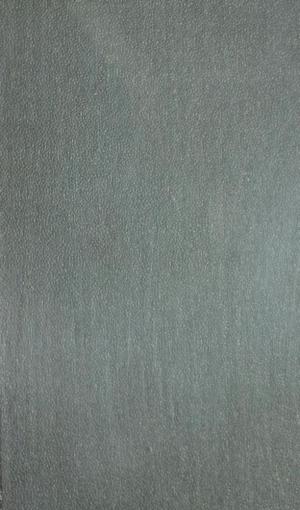 Энциклопедический словарь Т.15