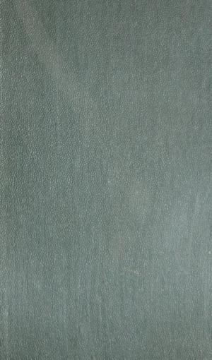 Энциклопедический словарь Т.43