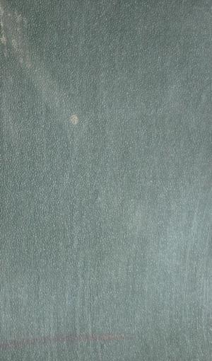 Энциклопедический словарь Т.45 Ч.1