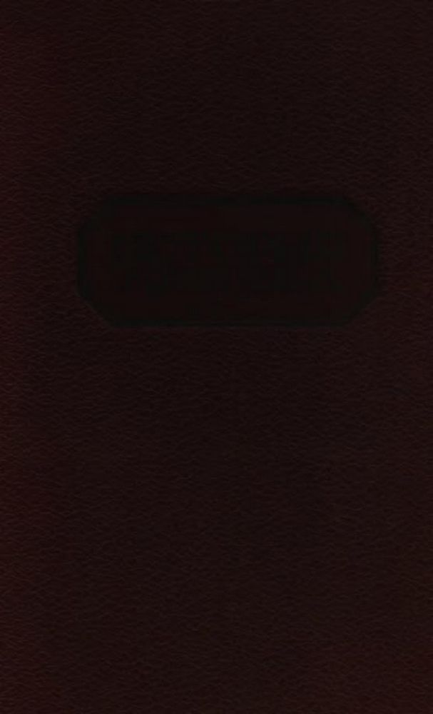 История XIX века