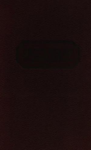 История XIX века