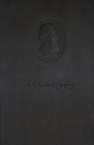 Салтыков-Щедрин М.Е. в портретах и иллюстрациях