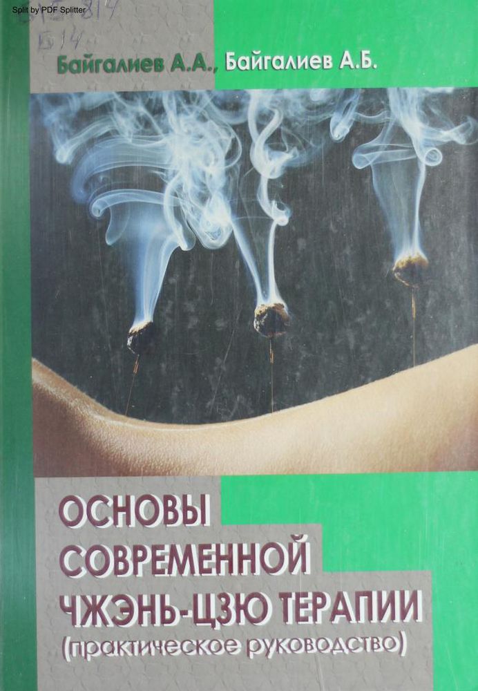 Основы современной чжень-чзю терапии (практическое руководство)