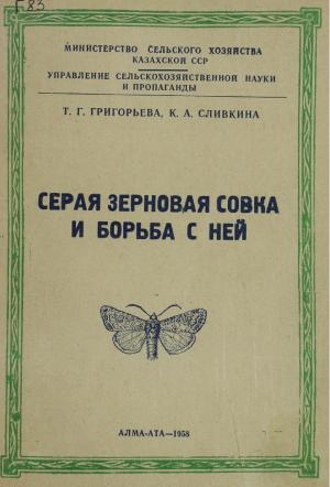 Серая зерновая совка и борьба с ней